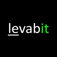 Levabit Perú logo - Similar company to Gho - Gestión Humana Y Organizacional
