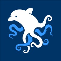 Doloctopus logo - Similar company to Mmc Classes