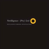 Netilligence (Pty) Ltd logo - Similar company to Tcg Forensics