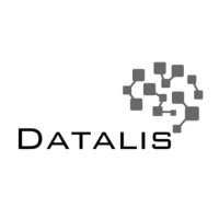 Datalis logo - Similar company to Datalis