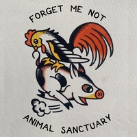 Forget Me Not Animal Sanctuary