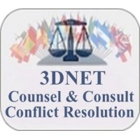 THE 3-D NETWORK COMPANY logo - Similar company to 3D Networks Corp.