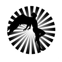Icarus Law logo - Similar company to Singh, Singh & Trauben, Llp