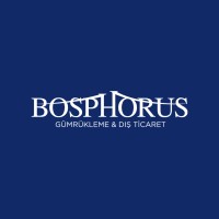 BOSPHORUS GÜMRÜKLEME & DIŞ TİCARET logo - Similar company to Sls Global Logistics