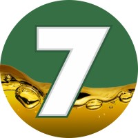 Grupo Seven Combustíveis logo - Similar company to Duzani