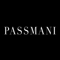 Passmani Media logo - Similar company to Design Network Gmbh