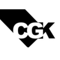 CGKOFILMAN S.A. logo - Similar company to Flutek