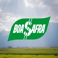 Agropecuária Boa Safra logo - Similar company to Agropecuária Frei Galvão