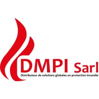 DMPI Sarl logo - Similar company to Geostaff