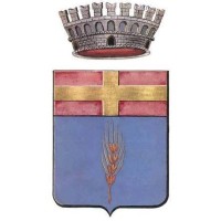 Comune di Curtarolo logo - Similar company to Mepa Srl