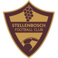 Stellenbosch Football Club logo - Similar company to Kaizer Chiefs Football Club
