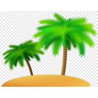 Western Palms Limited logo - Similar company to Nightwind Future Industries Limited
