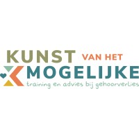 Kunst van het mogelijke