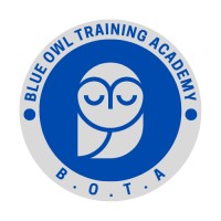 Blue Owl Training Academy logo - Similar company to Blue Owl