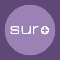 Surplus Pricing logo - Similar company to Davathy
