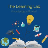 McKenzie Anderson Education: The Learning Lab logo - Similar company to Pi Ratio