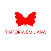 Tintoria Emiliana logo - Similar company to N.E.C.