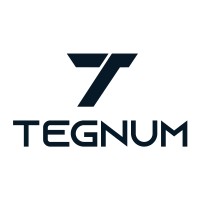 TEGNUM | Especialistas en Formación Avanzada logo - Similar company to Mentory Capacitación Y Consultoría