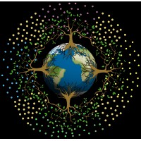 Oowake Voyages logo - Similar company to Bfound Digital
