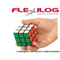 Flexilog srl logo - Similar company to Flexilogsa