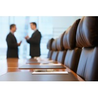 INDEPENDENT POLITICAL CONSULTANT