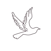 Amara Home Care Services Inc. logo - Similar company to Property Panorama, Inc.