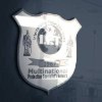 International Protection Team - Consulting logo - Similar company to Trojan Group