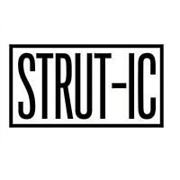 STRUT-IC logo - Similar company to Metafractal Llc