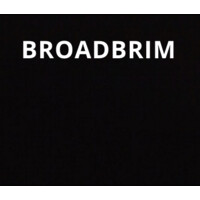 Broadbrim Hotel & Airline Systems logo - Similar company to Roomstorm