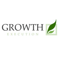 The Growth & The Execution for ICT logo - Similar company to Safa Ict