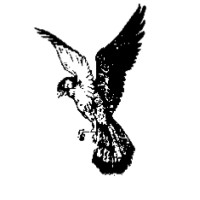 Kestrel Electronic Components Limited logo - Similar company to Macarthys Laboratories Limited