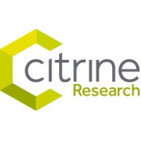 Citrine Research logo - Similar company to Wren Insight