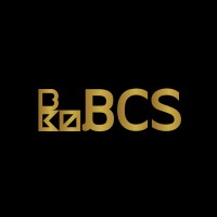 Blockchain Cryptocurrency Solution (BCS) logo - Similar company to Wonik Materials Co Ltd (104830)