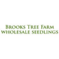 Brooks Tree Farm