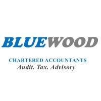 Bluewood Chartered Accountants logo - Similar company to Cks Lifestyle