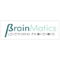 BrainMatics logo - Similar company to Modelytics
