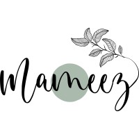 Mameez logo - Similar company to Msi Services