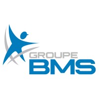 Groupe BMS logo - Similar company to Pure Influence
