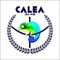 Academic Center For Applied Foreign Languages (Calea - Unb)