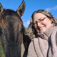 Milestone Equine Farm and Transportation logo - Similar company to Nceft - National Center For Equine Facilitated Therapy (Nceft)