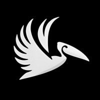 WePelicans Prospective logo - Similar company to Rovo