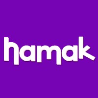 Hamak Games logo - Similar company to Fdn Soft