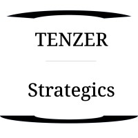 Tenzer Strategics logo - Similar company to Editions Grevis