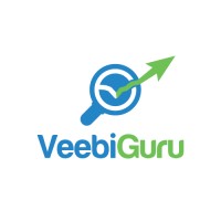 Veebiguru logo - Similar company to Padrik.Com