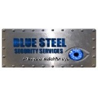 BLUE STEEL SECURITY SERVICES L.L.C. logo - Similar company to Blue Security Podcast
