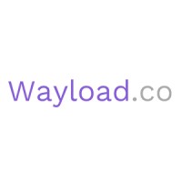 Wayload logo - Similar company to Techtailors