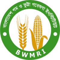 Bangladesh Wheat and Maize Research Institute (BWMRI) logo - Similar company to National Academy For Computer Training And Research (Nactar)