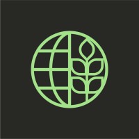 STEM Select logo - Similar company to Saggia Luce