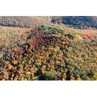 Fair Mountain Studios