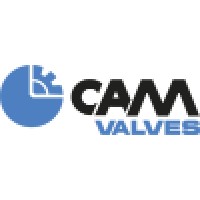 CAM SpA logo - Similar company to Bulk Srl